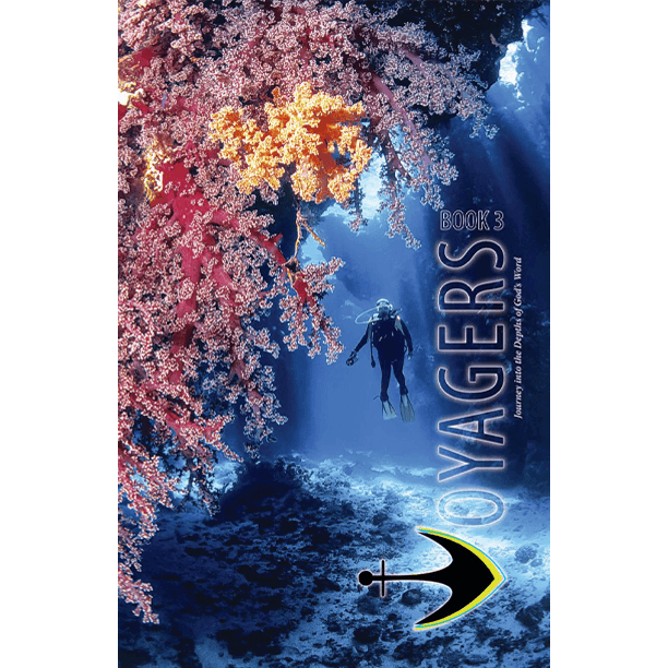 Cover of Voyagers 3